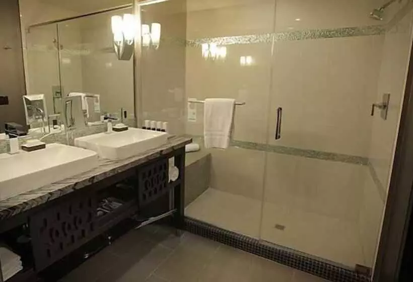 渡假胜地  Viejas Casino & Willows