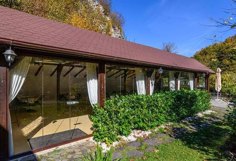 Pensiunea Apuseni Wild