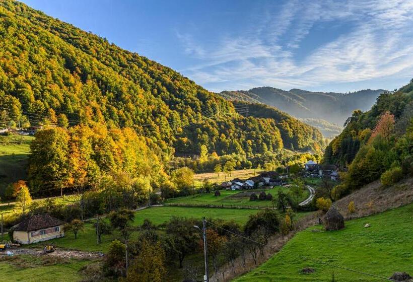 Pensiunea Apuseni Wild