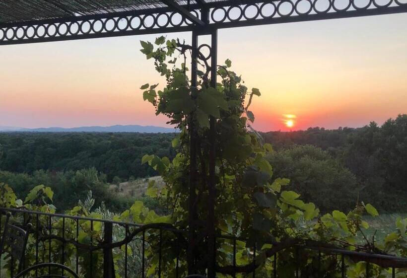 ホテル Agriturismo Cerrosughero