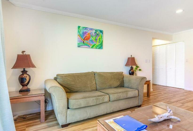 酒店 Kona Mansions 123