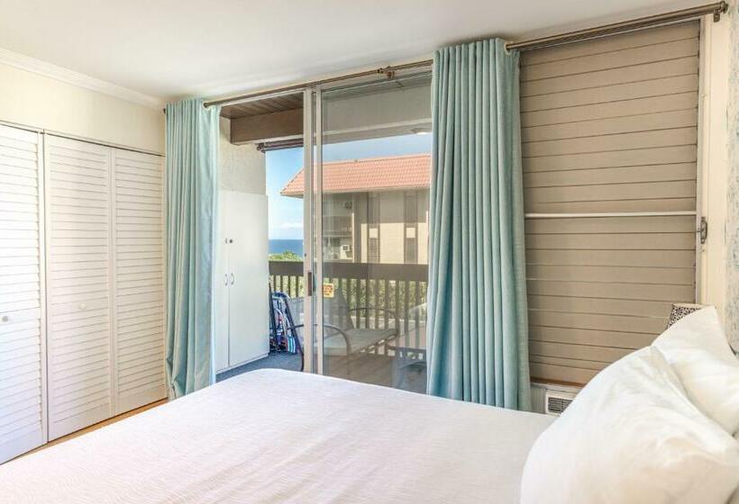 酒店 Kona Mansions 123