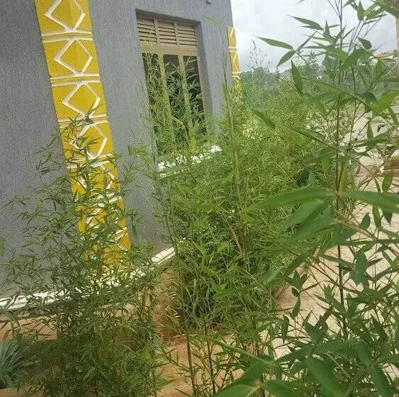 هتل Lite Cottages