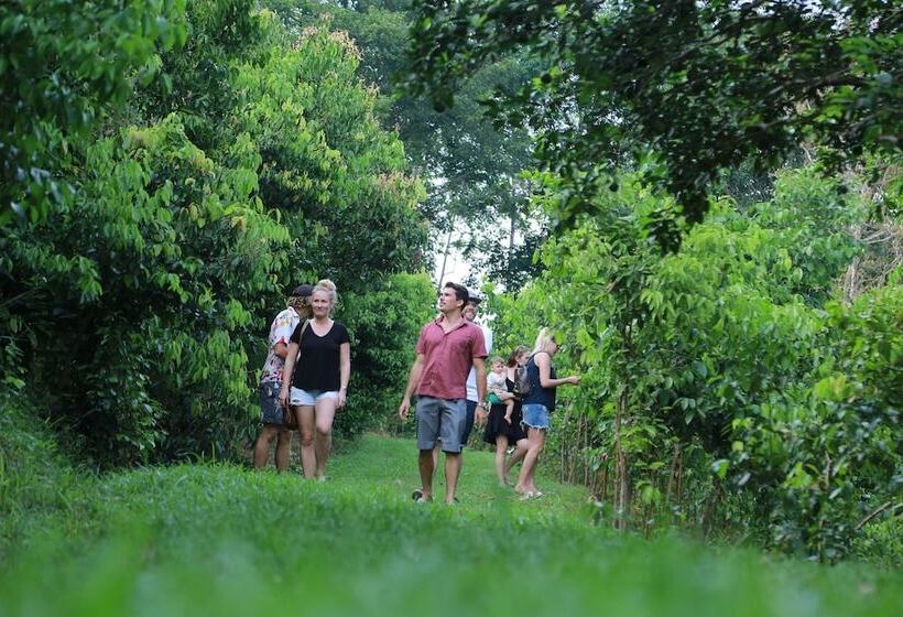 Отель The Bungalow, Makuludola Estate