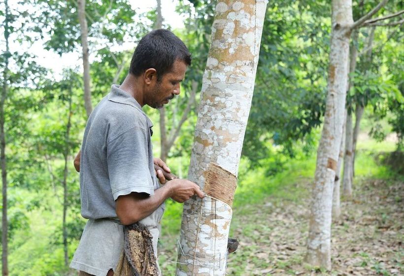 Отель The Bungalow, Makuludola Estate