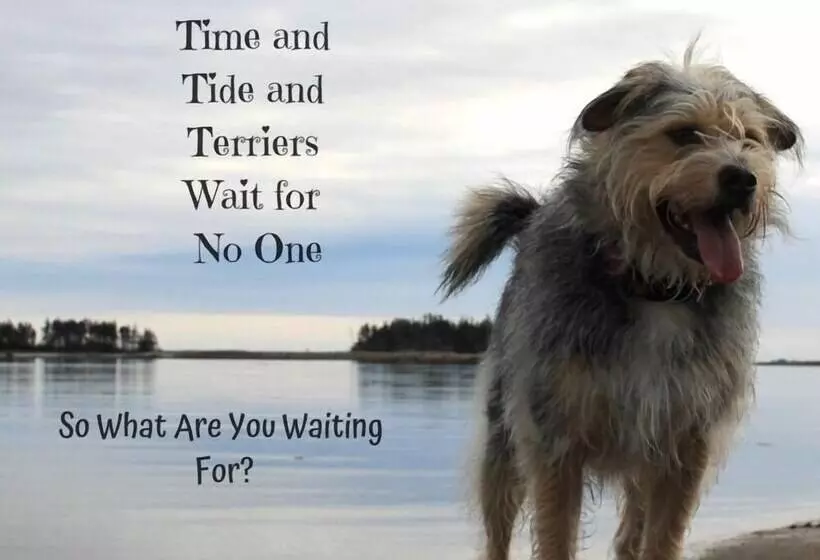 ホテル Seawind Landing Country Inn