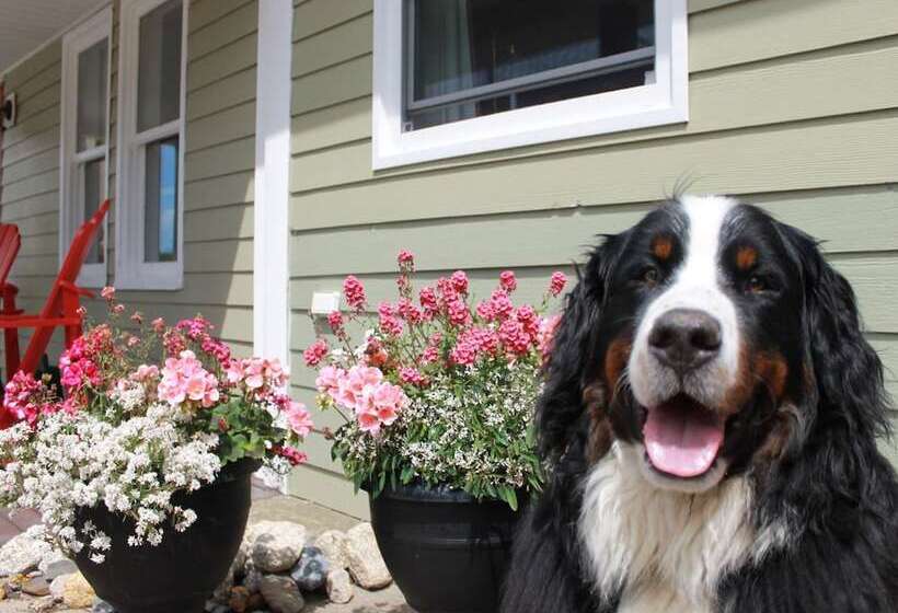 בית מלון כפרי Seawind Landing Country Inn