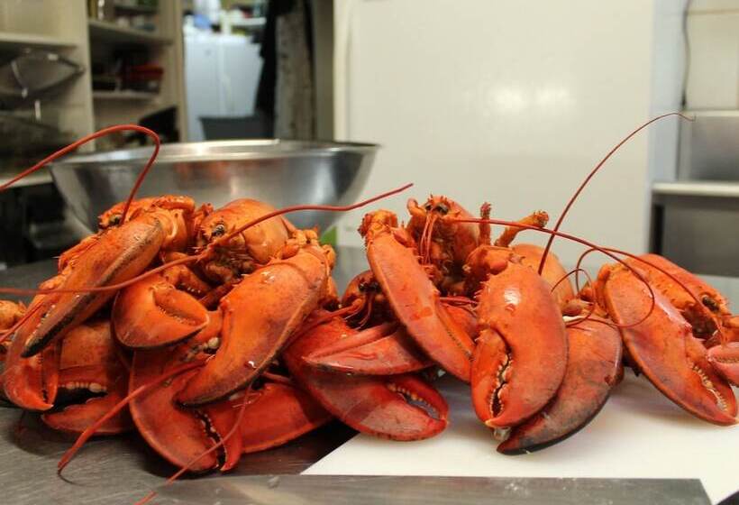 בית מלון כפרי Seawind Landing Country Inn