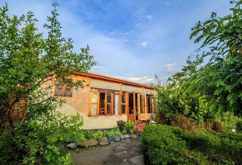 هتل Wildtracks Overland Camp