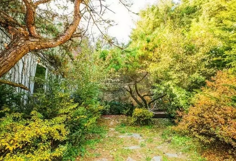 ホテル Yangpyeong Karipos Pension
