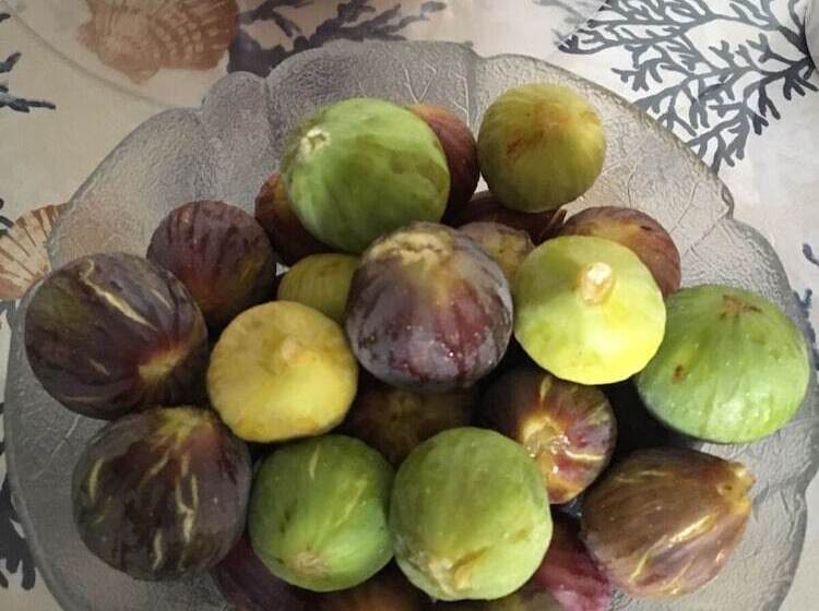 בית מלון כפרי Mare Chiaro