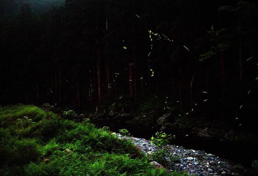 ホテル Miyama Nature And Culture Village Kajikaso