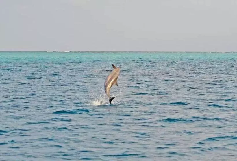 هتل Ocean Village Maldives