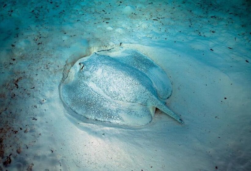 هتل Ocean Village Maldives