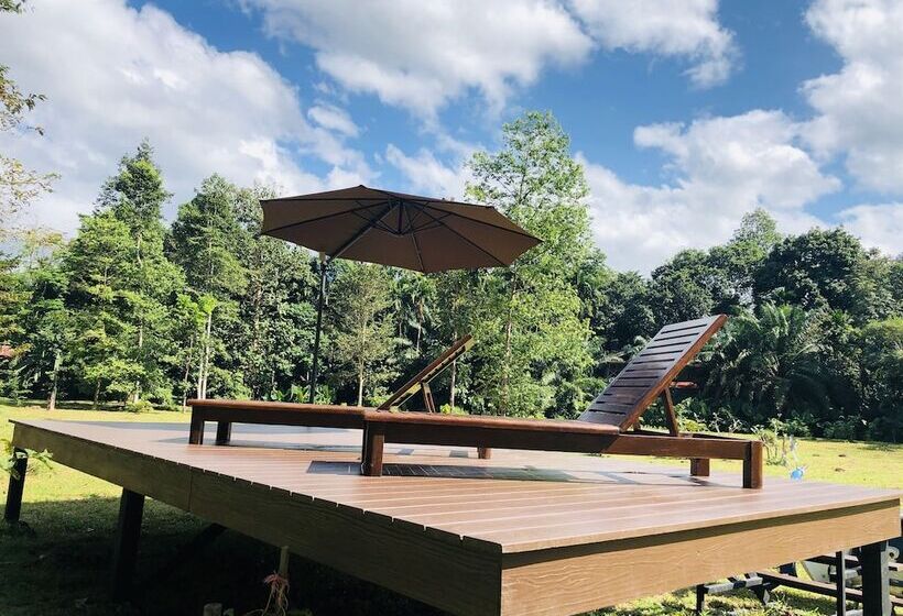 酒店 The Bliss Khao Sok Boutique Lodge