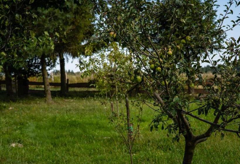 酒店 Agroturystyka U Julii