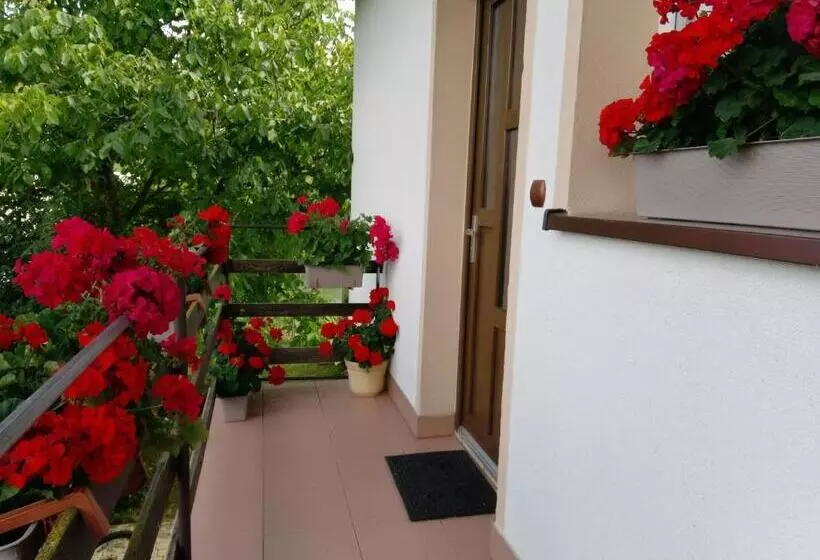 Aamiaismajoitus (B&B) Agrowczasy