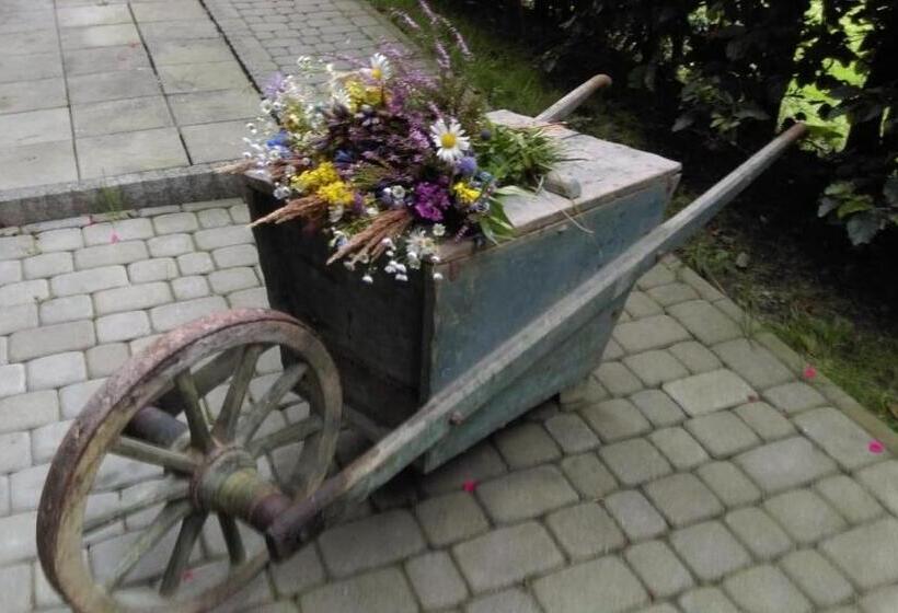 مبيت وإفطار Agrowczasy