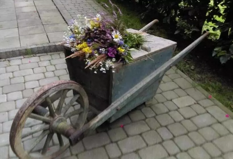 Aamiaismajoitus (B&B) Agrowczasy