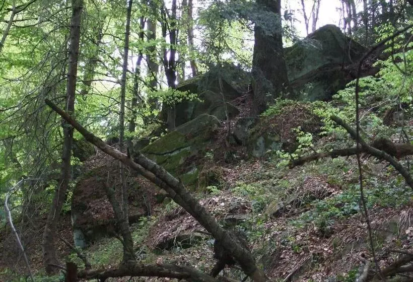 Aamiaismajoitus (B&B) Agrowczasy