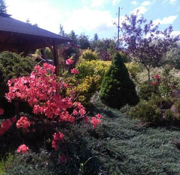 酒店 Agroturystyka Pod Baranią Gorą