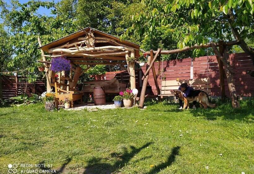 هتل Agroturystyka Pod Kogutem