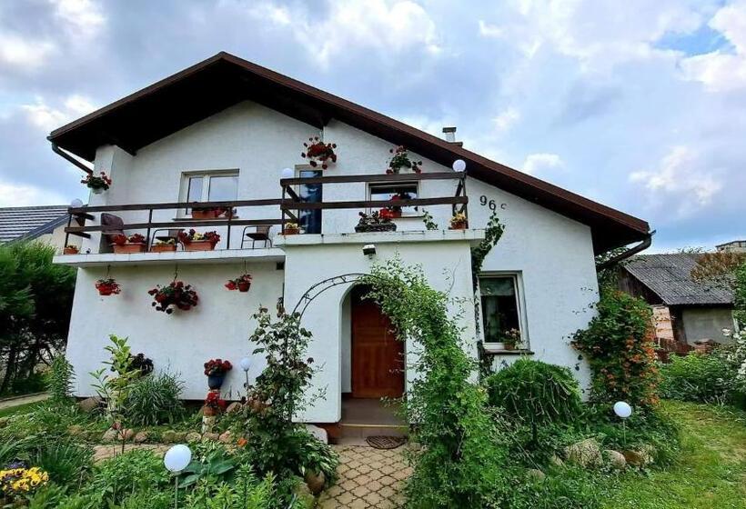 هتل Agroturystyka Pod Kogutem