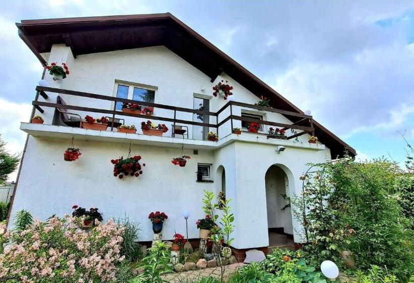 هتل Agroturystyka Pod Kogutem