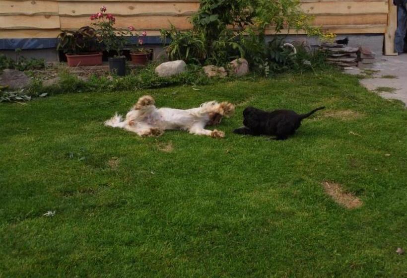 هتل Agroturystyka Pod Kogutem