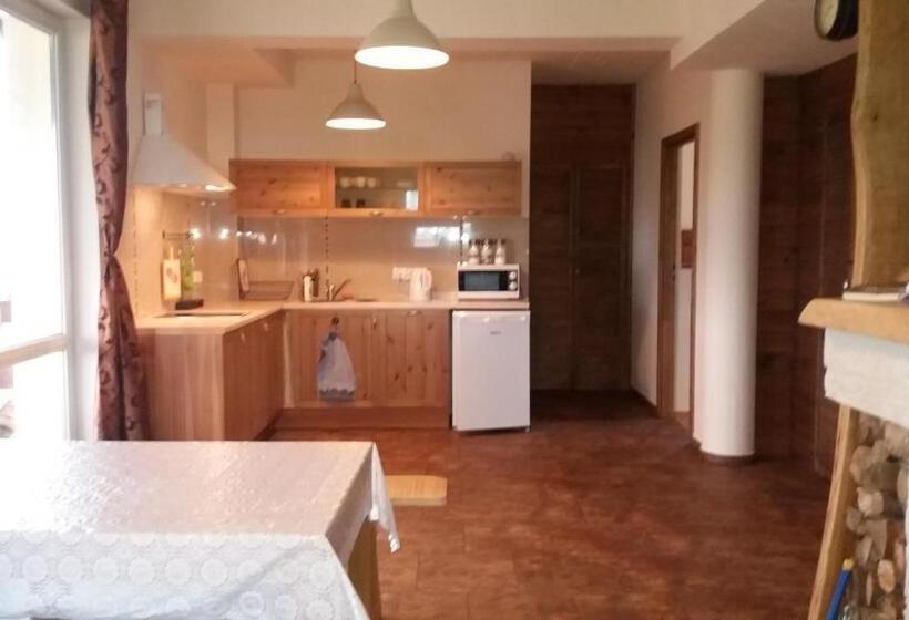 Отель Apartamenty Swojskie Klimaty