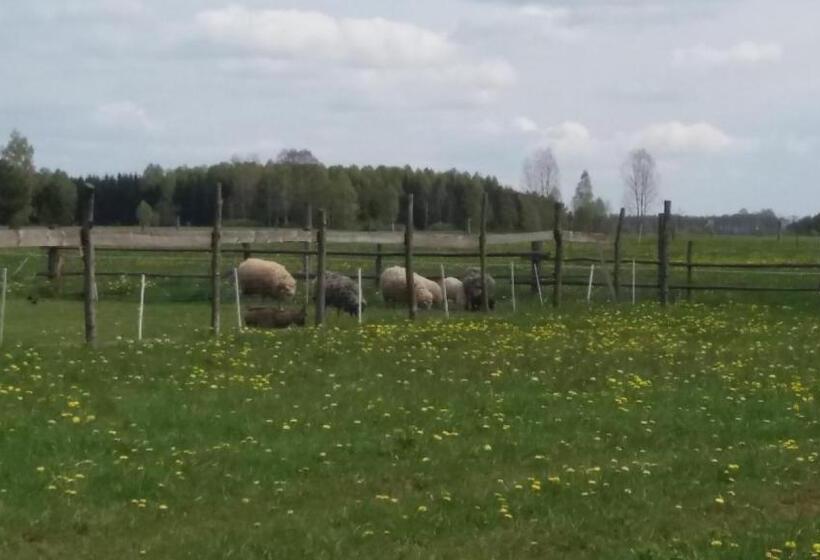 Отель Apartamenty Swojskie Klimaty