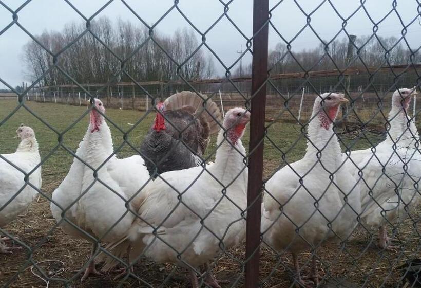 Отель Apartamenty Swojskie Klimaty