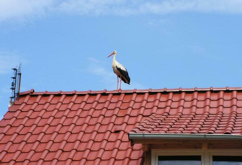 酒店 Winnica Na Leśnej Polanie