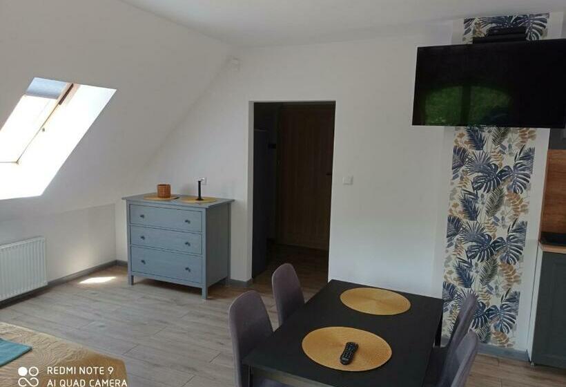 펜션 Apartamenty Brzozowe Zacisze