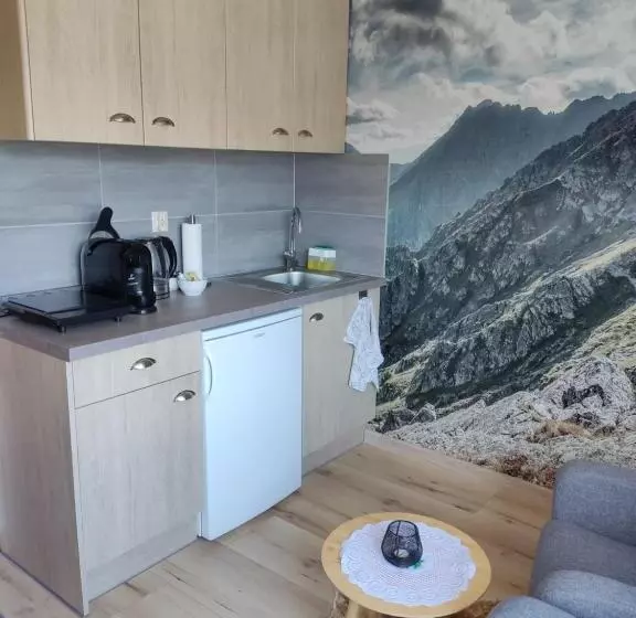 پانسیون Apartamenty U Drwala
