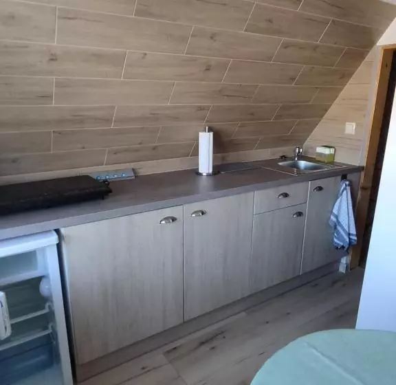پانسیون Apartamenty U Drwala