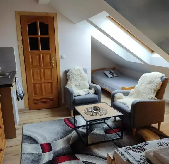 پانسیون Apartamenty U Drwala
