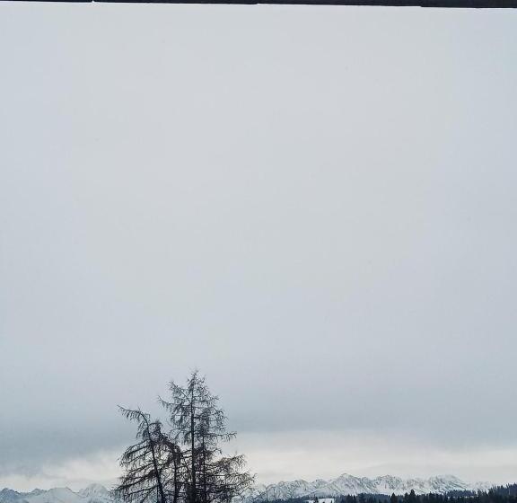 Pension Dom Wypoczynkowy U Kseni Białka Tatrzańska Ul Grapa55