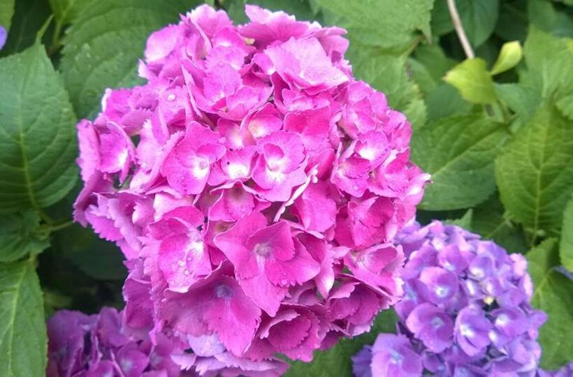 Schronisko Młodzieżowe Małgosia