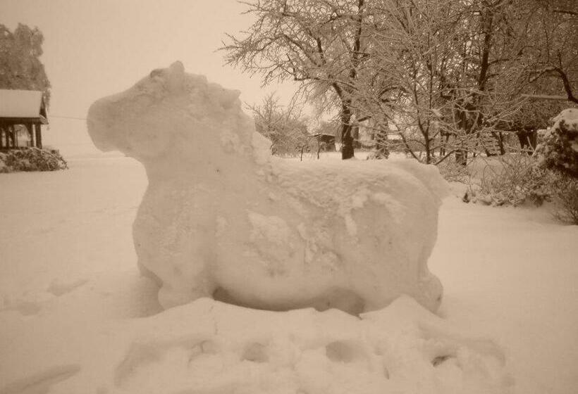 Schronisko Młodzieżowe Małgosia