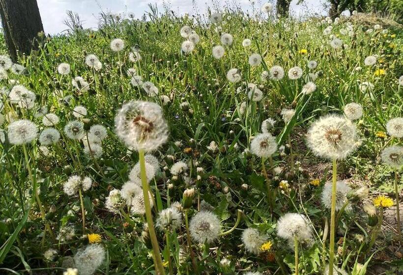 Schronisko Młodzieżowe Małgosia