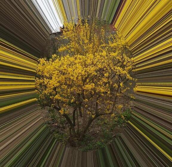 Schronisko Młodzieżowe Małgosia