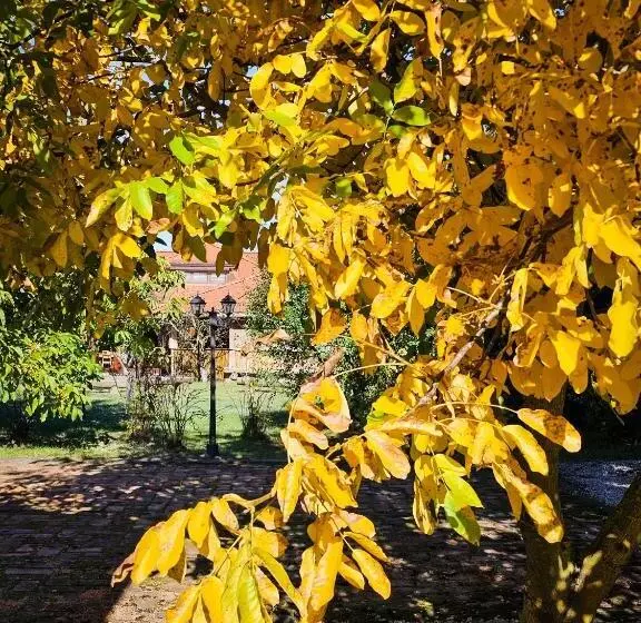 Aamiaismajoitus (B&B) Gościniec Gryszczeniówka