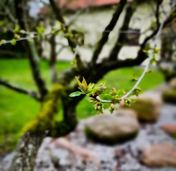 Aamiaismajoitus (B&B) Gościniec Gryszczeniówka