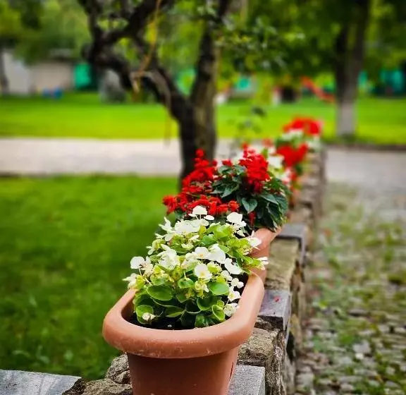 Aamiaismajoitus (B&B) Gościniec Gryszczeniówka