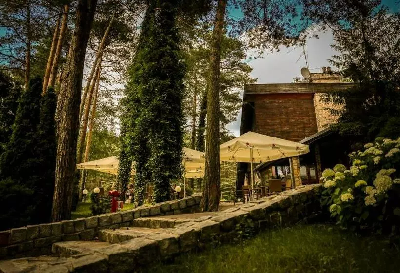 Aamiaismajoitus (B&B) Stolarnia