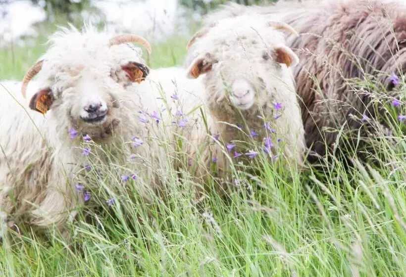 ベッドアンドブレックファースト Swoboda Na Szczycie Góry