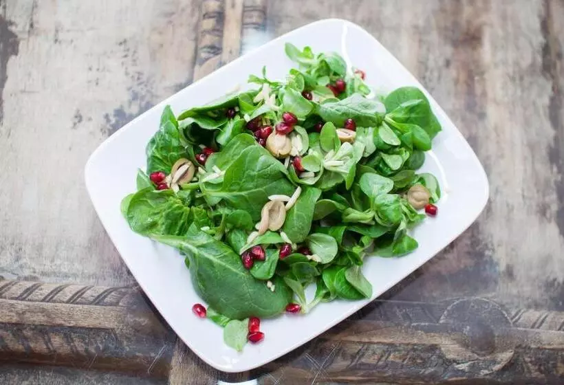 ベッドアンドブレックファースト Swoboda Na Szczycie Góry