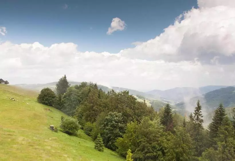 ベッドアンドブレックファースト Swoboda Na Szczycie Góry