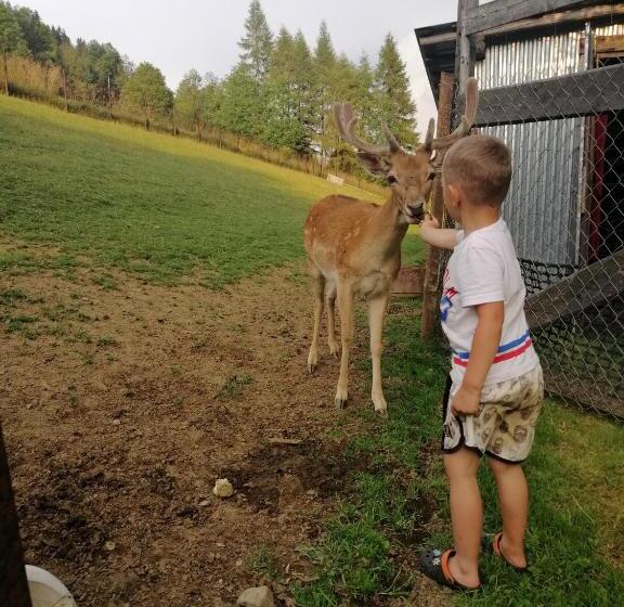 هتل Agroturystyka Pod Lasem
